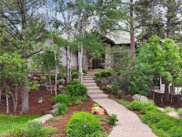 126 Silver Leaf Way, Castle Rock image