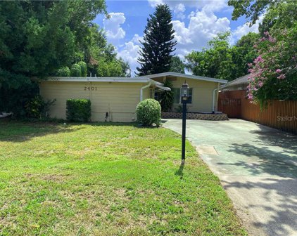 2401 Peel Avenue, Orlando