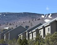 130 Snow Creek Road Unit #40, Warren image