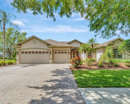 5422 Burnt Hickory Drive, Valrico
