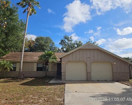 2068 Houndslake Drive, Winter Park