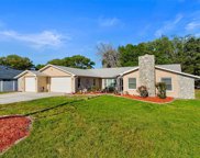 2124 Little Peach Court, Spring Hill image