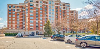 11770 Sunrise Valley Dr Unit #219, Reston
