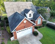 117 Linkside Court, Chapin image