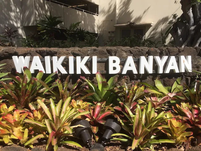 Waikiki Banyan Sign
