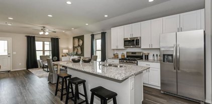 25467 Blue Mistflower, Montgomery