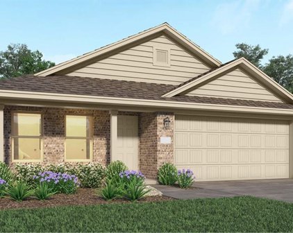 4211 Aliaga Arbor Trail, Baytown