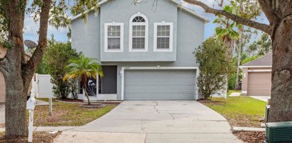 11623 Ivy Flower Loop, Riverview