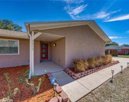 5215 Pheasant Drive, Mulberry image