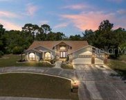 13473 Bruni Drive, Spring Hill image