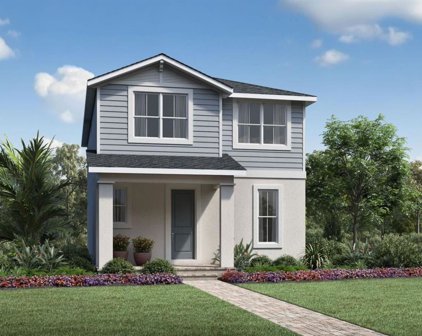 2428 Cedar Rose Street, Apopka