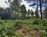 Cane Branch Road, Walterboro image