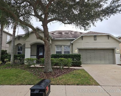 10426 Chorlton Circle, Orlando