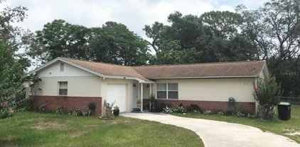 1311 N John Street, Orlando