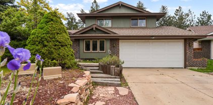 10090 Vrain Court, Westminster