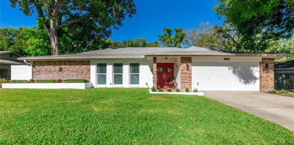 545 Sandy Hook Road, Palm Harbor