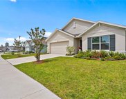 3900 Autumn Amber Drive, Spring Hill image