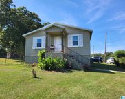 7801 Old Tuscaloosa Highway, Mccalla image