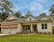 517 Misty Banks Drive, Chapin image