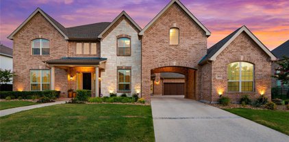 613 Picasso, Colleyville