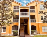 10764 70th Avenue N Unit 3208, Seminole image
