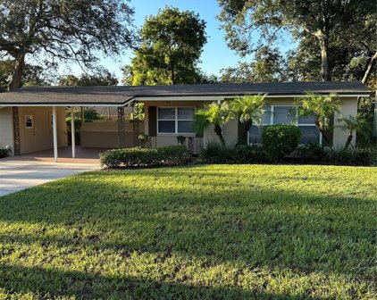 336 Hickory Drive, Maitland