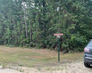 TBD Hidden Cove, Point Blank image