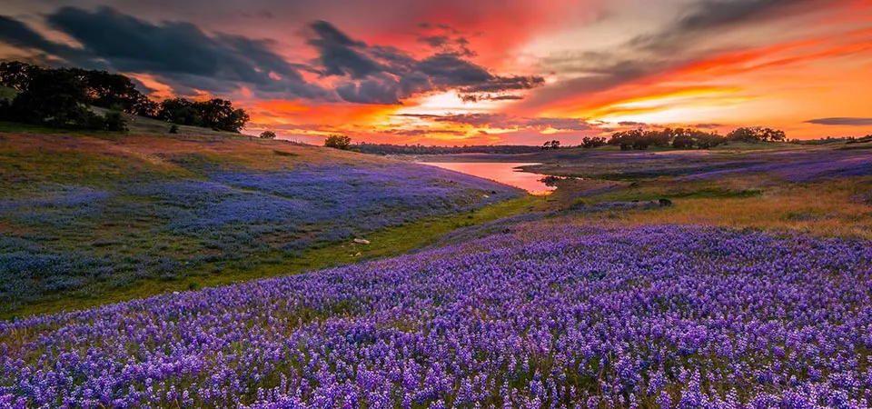 Folsom Lake