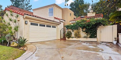 13902 Mango, Del Mar