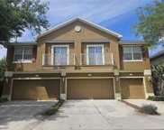 6735 Eagle Feather Drive, Riverview image