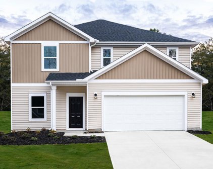 139 Lavinia, Lyman