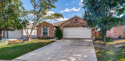 1017 Singletree  Drive, Forney