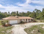 229 Woodill Rd, Carrabelle image