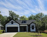 149 Collins Cove Drive, Chapin image