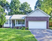 10705 Hickory Cove Ct, Louisville image