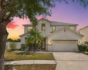 11139 Golden Silence Drive, Riverview image