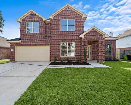 2119 Silver Leaf Drive, Missouri City