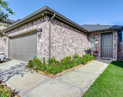 121 Wedgewood Trace Lane, La Porte