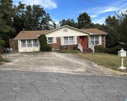 408 Ferncliff Drive, Birmingham image