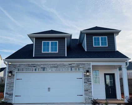 710 Spring Orchard Drive, Lyman