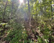 Coweeta Lake Circle, Otto image