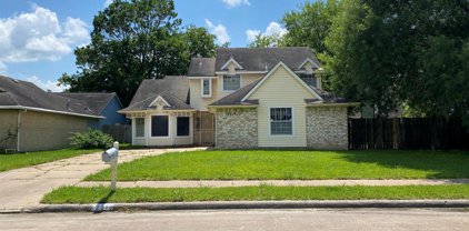 12319 Ashling Drive, Houston