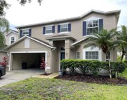14931 Hawksmoor Run Circle, Orlando image