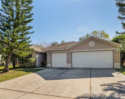 3301 Amberley Park Circle, Kissimmee