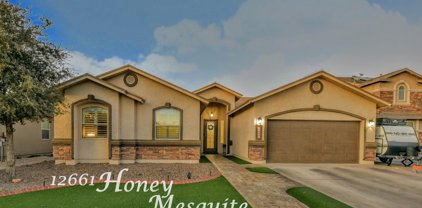 12661 Honey Mesquite, El Paso