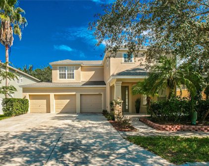 13413 Hopkinton Court, Windermere