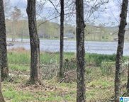 805 General Jackson Memorial Drive Unit 24, Sylacauga image