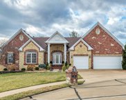 1025 Castleview  Court, St Charles image
