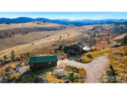 216 Jagerhorn Ct, Livermore image