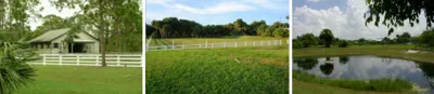 Palm City Farms